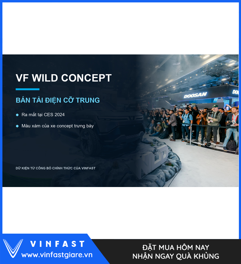 Tổng quan VinFast VF Wild Concept màu xám