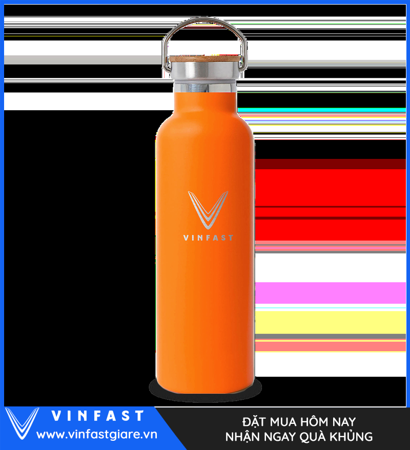 Bình Giữ Nhiệt VinFast Classic 750 ml - chi tiết 1