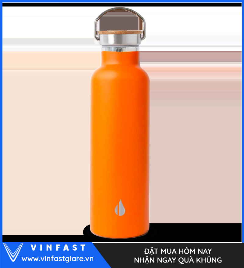 Bình Giữ Nhiệt VinFast Classic 750 ml - chi tiết 2