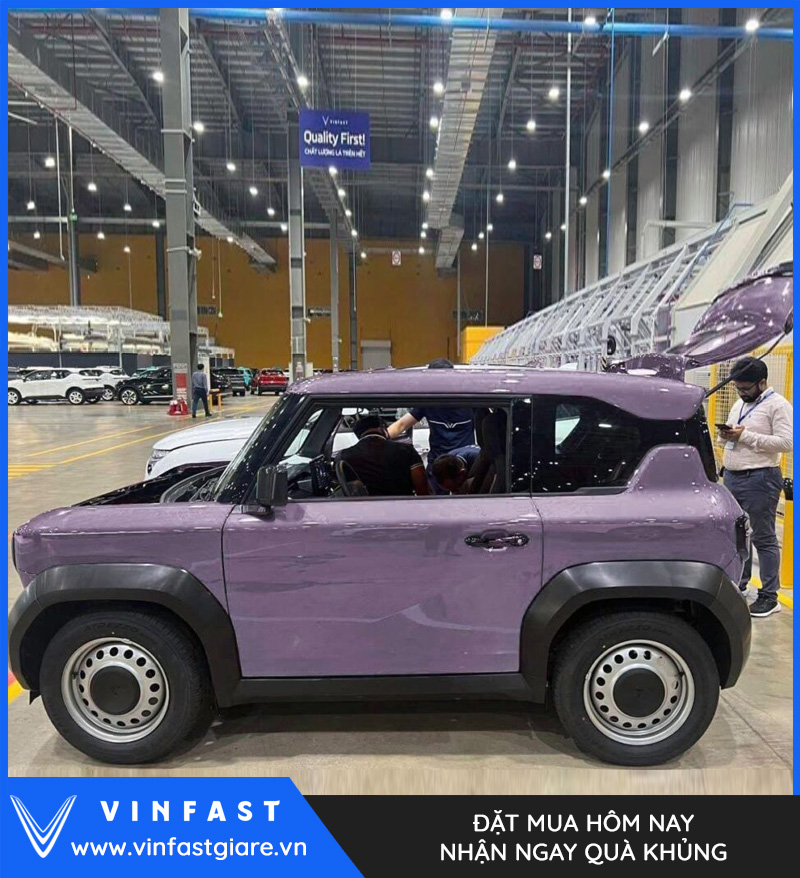 VF3 màu hồng tím